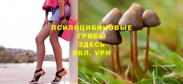 сатива Дмитриев