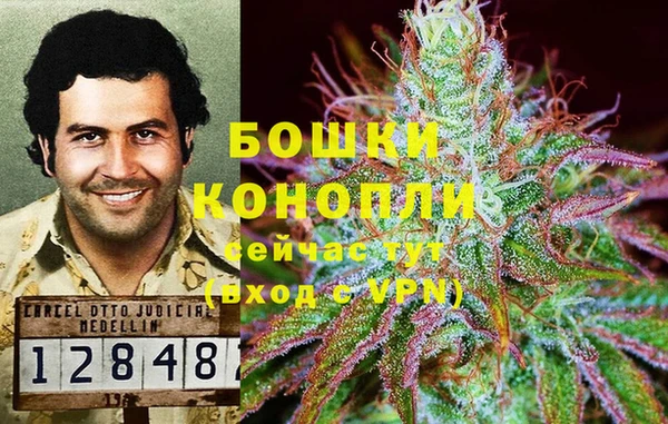дмт Корсаков