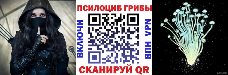 закладка  Бор  Галлюциногенные грибы Psilocybe 