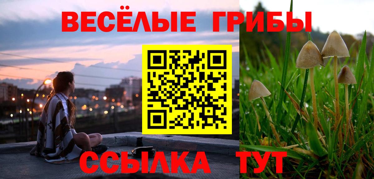 Галлюциногенные грибы Psilocybine cubensis  Вход с VPN  Псилоцибиновые грибы MAGIC MUSHROOMS  Бор 